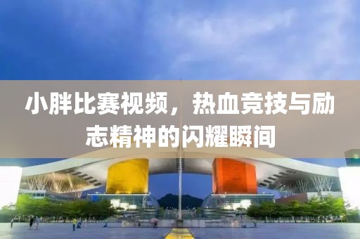 小胖比赛视频，热血竞技与励志精神的闪耀瞬间