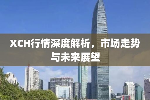 XCH行情深度解析，市场走势与未来展望