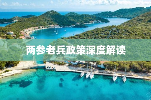 两参老兵政策深度解读