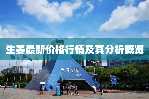 生姜最新价格行情及其分析概览