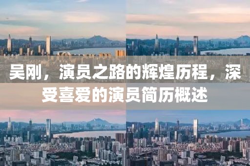 吴刚，演员之路的辉煌历程，深受喜爱的演员简历概述