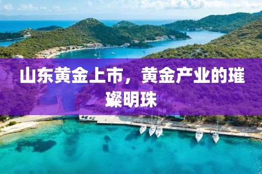 山东黄金上市，黄金产业的璀璨明珠