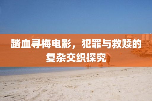 踏血寻梅电影，犯罪与救赎的复杂交织探究