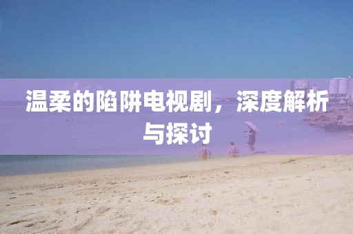 温柔的陷阱电视剧，深度解析与探讨