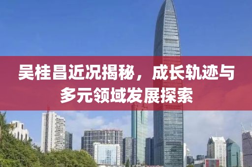 吴桂昌近况揭秘，成长轨迹与多元领域发展探索