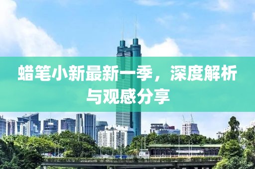蜡笔小新最新一季，深度解析与观感分享