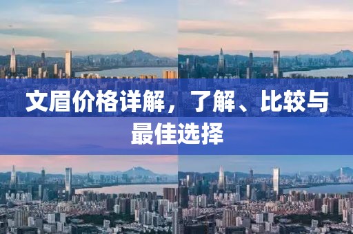 文眉价格详解，了解、比较与最佳选择