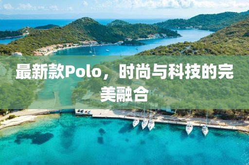 最新款Polo，时尚与科技的完美融合