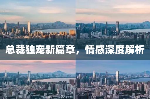 总裁独宠新篇章，情感深度解析