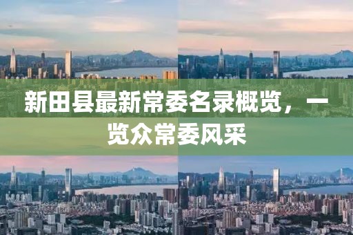 新田县最新常委名录概览，一览众常委风采