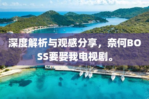 深度解析与观感分享，奈何BOSS要娶我电视剧。