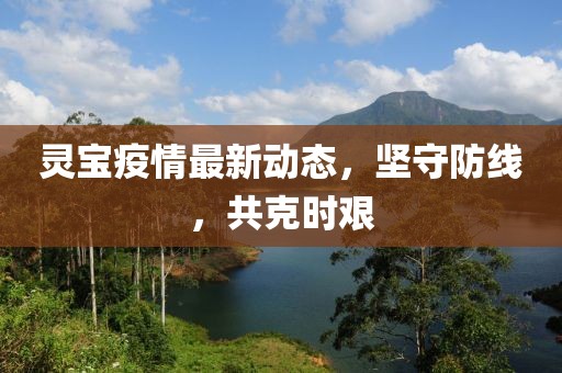 灵宝疫情最新动态，坚守防线，共克时艰