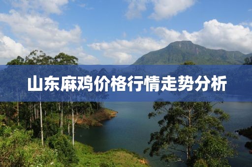 山东麻鸡价格行情走势分析