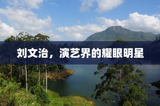 刘文治，演艺界的耀眼明星