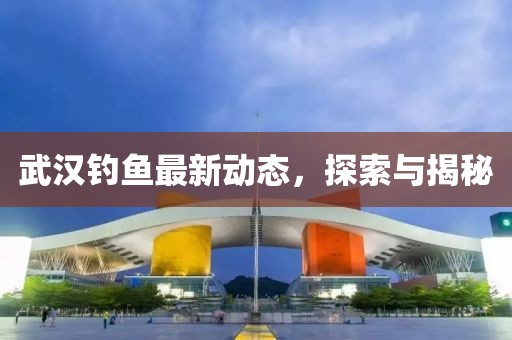 武汉钓鱼最新动态，探索与揭秘