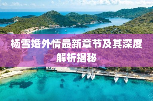 杨雪婚外情最新章节及其深度解析揭秘