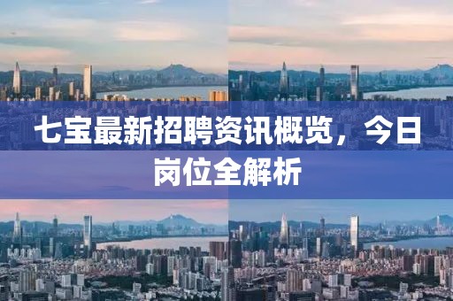 七宝最新招聘资讯概览，今日岗位全解析