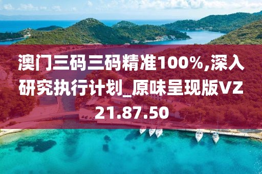 澳门三码三码精准100%,深入研究执行计划_原味呈现版VZ21.87.50