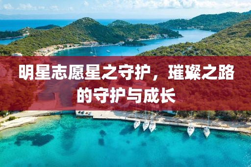 明星志愿星之守护，璀璨之路的守护与成长