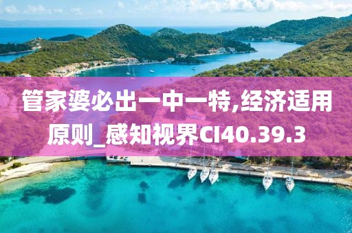 管家婆必出一中一特,经济适用原则_感知视界CI40.39.3