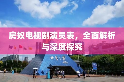 房奴电视剧演员表，全面解析与深度探究