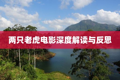 两只老虎电影深度解读与反思