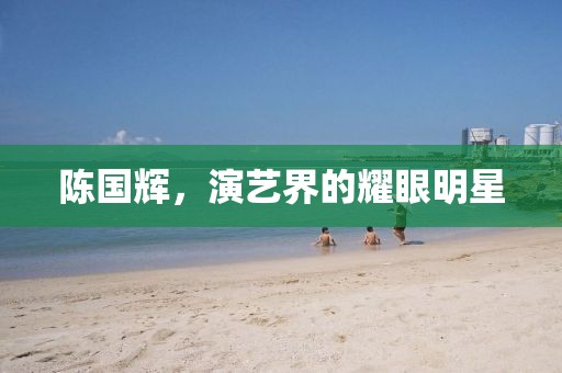 陈国辉，演艺界的耀眼明星