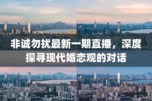 非诚勿扰最新一期直播，深度探寻现代婚恋观的对话