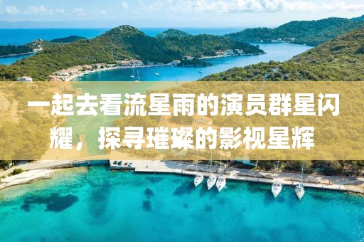 一起去看流星雨的演员群星闪耀，探寻璀璨的影视星辉