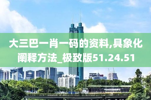 大三巴一肖一码的资料,具象化阐释方法_极致版51.24.51