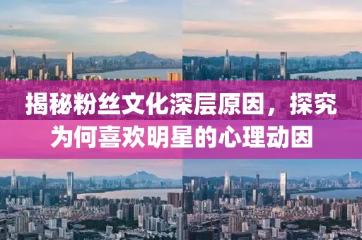 揭秘粉丝文化深层原因，探究为何喜欢明星的心理动因