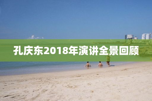 孔庆东2018年演讲全景回顾