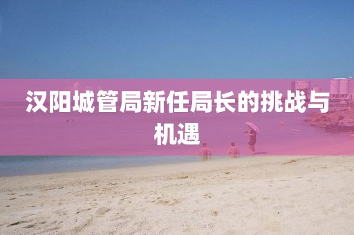 汉阳城管局新任局长的挑战与机遇