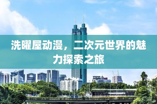洗曜屋动漫，二次元世界的魅力探索之旅