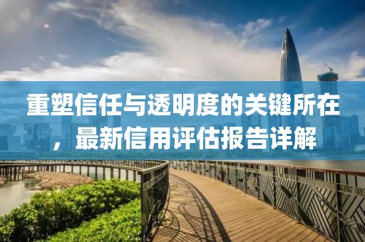 重塑信任与透明度的关键所在，最新信用评估报告详解