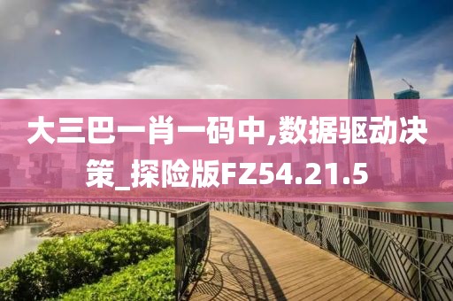 大三巴一肖一码中,数据驱动决策_探险版FZ54.21.5