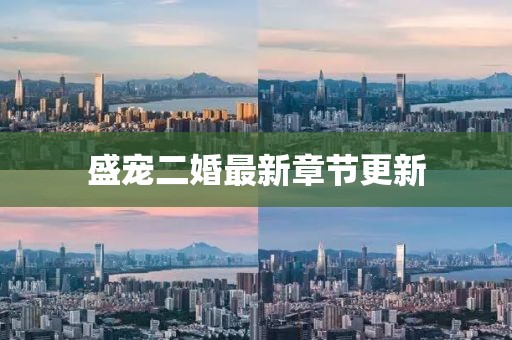 盛宠二婚最新章节更新
