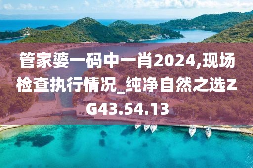 管家婆一码中一肖2024,现场检查执行情况_纯净自然之选ZG43.54.13