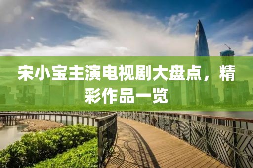 宋小宝主演电视剧大盘点，精彩作品一览