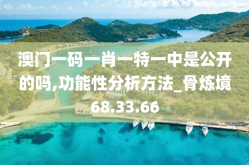 澳门一码一肖一特一中是公开的吗,功能性分析方法_骨炼境68.33.66