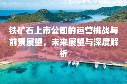 铁矿石上市公司的运营挑战与前景展望，未来展望与深度解析