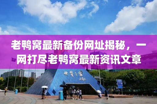 沧桑男人 第17页