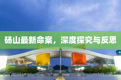 砀山最新命案，深度探究与反思