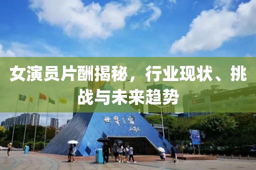 女演员片酬揭秘，行业现状、挑战与未来趋势