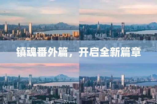 雾里看小花 第17页