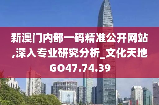 新澳门内部一码精准公开网站,深入专业研究分析_文化天地GO47.74.39