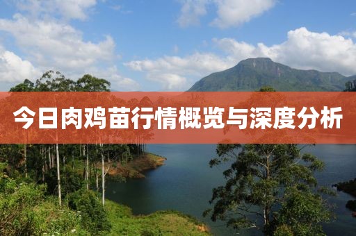 今日肉鸡苗行情概览与深度分析