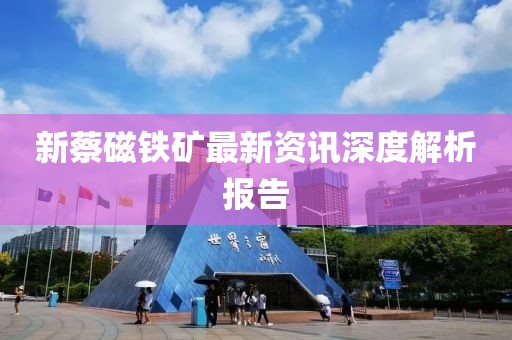 新蔡磁铁矿最新资讯深度解析报告