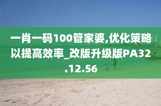 一肖一码100管家婆,优化策略以提高效率_改版升级版PA32.12.56