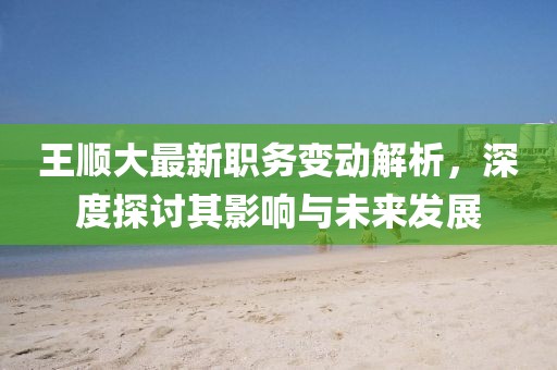 王顺大最新职务变动解析，深度探讨其影响与未来发展